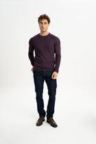 ÇARDAK Mor Yün Karışımlı Bisiklet Yaka Uzun Kollu Jakarlı Triko Kazak