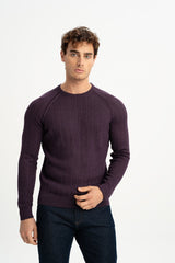 ÇARDAK Purple Wool Blend Crew Neck Long Sleeve Jacquard Knitwear Sweater